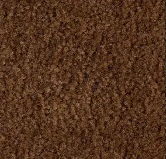 Coffee event carpet color sample