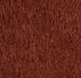 Ginger event carpet color sample