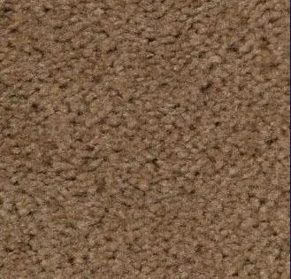 Silk Beige event carpet color sample