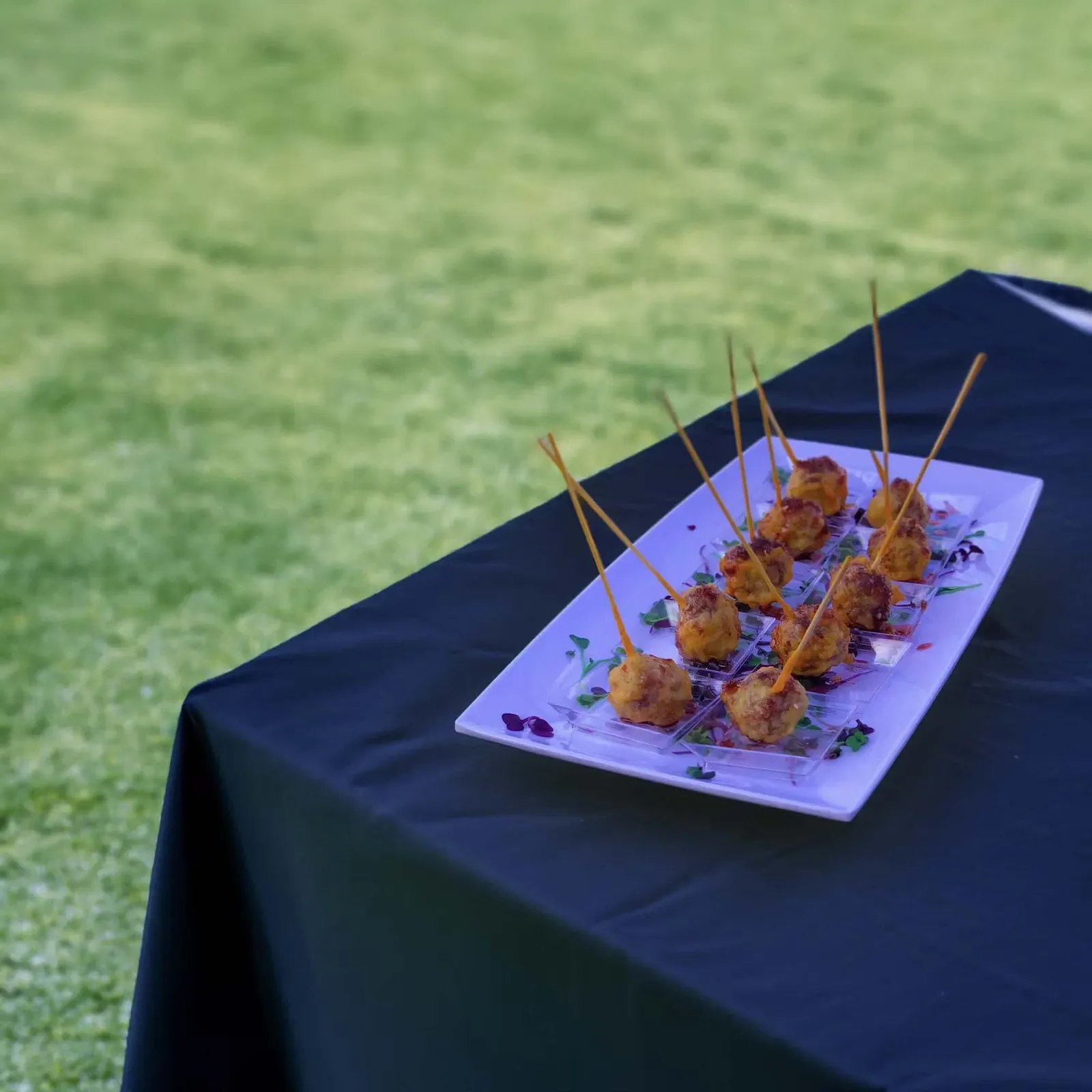 Catering_options_17 for rent in Las Vegas