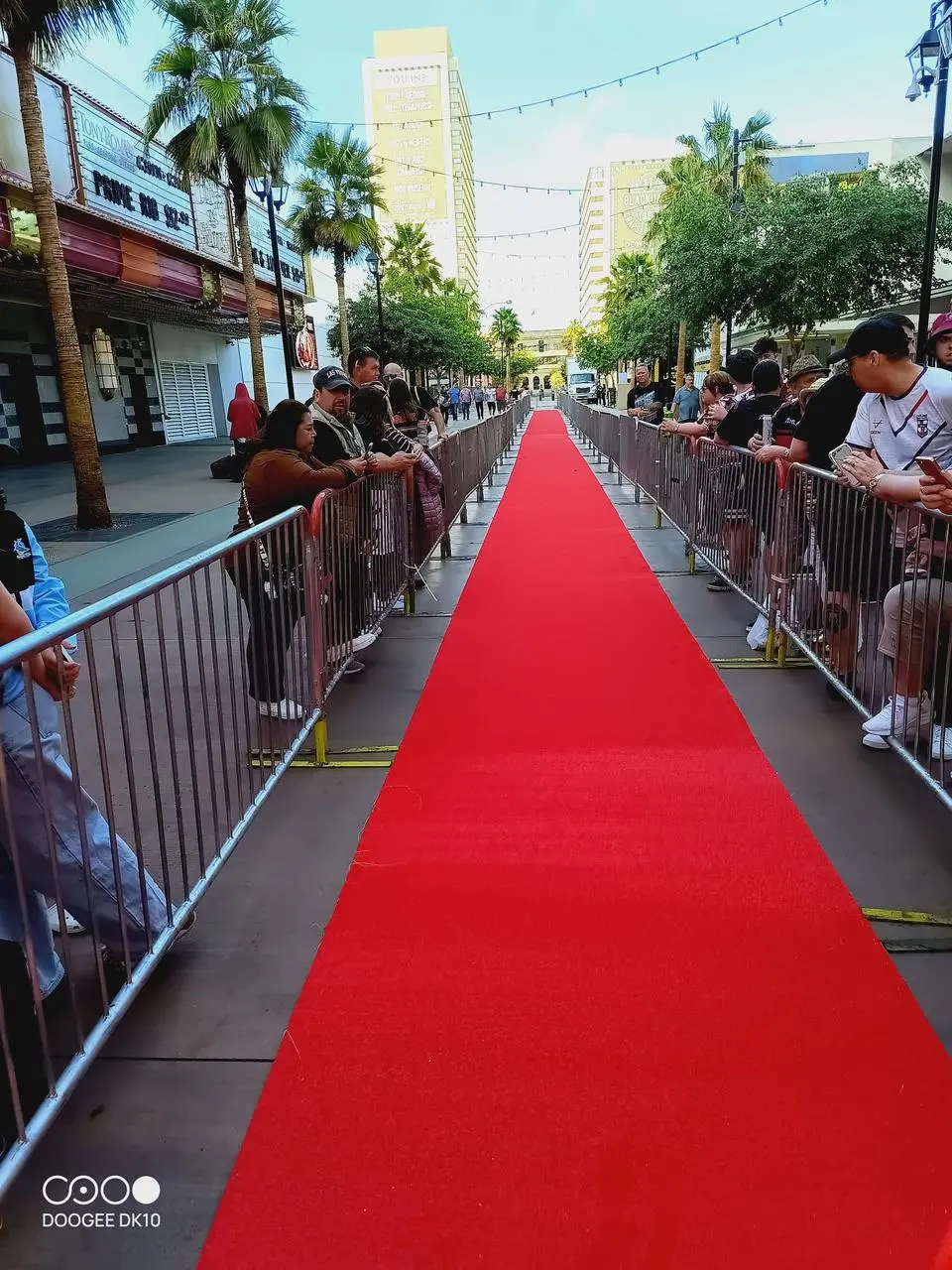 Red carpet silver barriers outdoor event crowd control for rent in Las Vegas