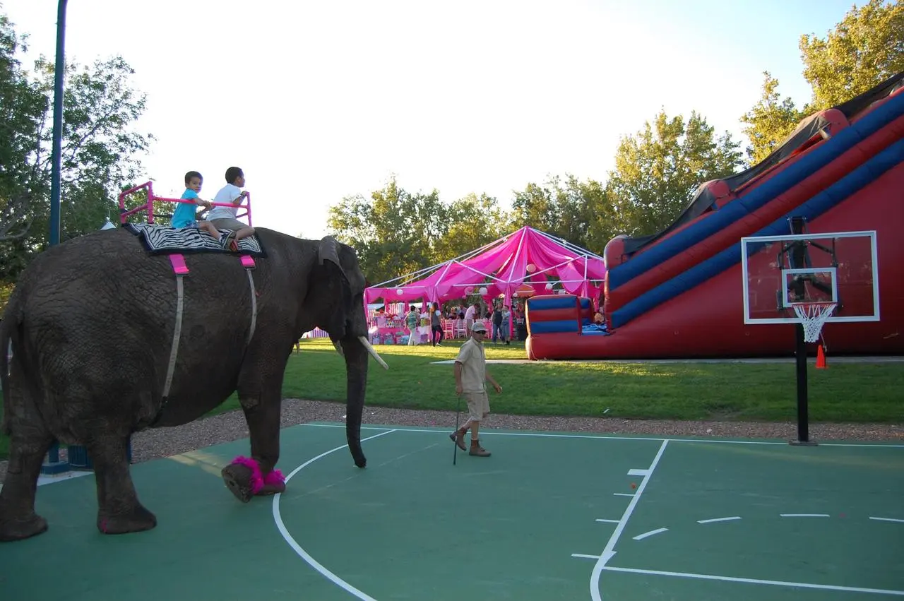 Elephant rides children pink tent inflatables outdoor for rent in Las Vegas